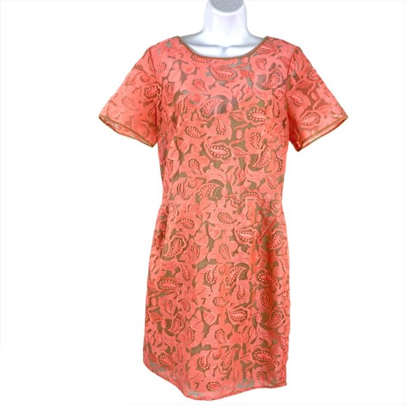 Veronica Beard Shift Dress Lace Floral Embroidered - Picture 4 of 8